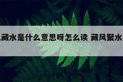 聚风藏水是什么意思呀怎么读 藏风聚水而不动