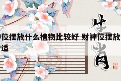 财神位摆放什么植物比较好 财神位摆放什么花合适