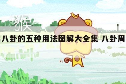 周易八卦的五种用法图解大全集 八卦周易术语