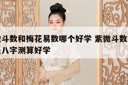 紫微斗数和梅花易数哪个好学 紫微斗数好学还是八字测算好学