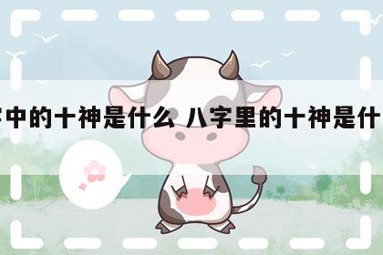 八字中的十神是什么 八字里的十神是什么意思
