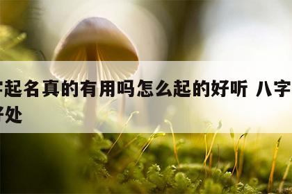 八字起名真的有用吗怎么起的好听 八字起名的好处