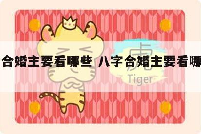 八字合婚主要看哪些 八字合婚主要看哪些内容