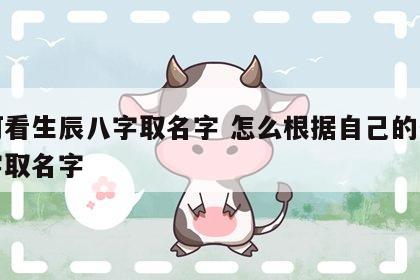 如何看生辰八字取名字 怎么根据自己的生辰八字取名字