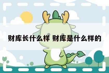 财库长什么样 财库是什么样的