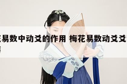 梅花易数中动爻的作用 梅花易数动爻爻辞最重要