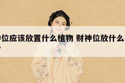 财神位应该放置什么植物 财神位放什么花最旺财