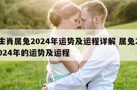 生肖属兔2024年运势及运程详解 属兔2024年的运势及运程
