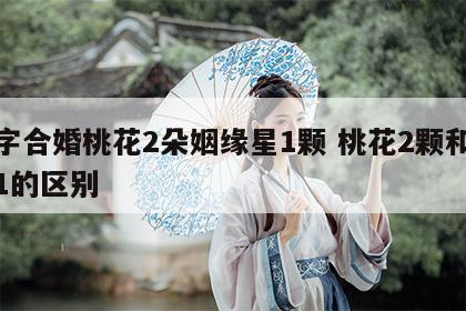 八字合婚桃花2朵姻缘星1颗 桃花2颗和姻缘1的区别