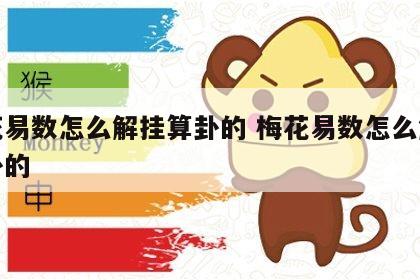 梅花易数怎么解挂算卦的 梅花易数怎么解挂算卦的