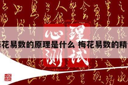 梅花易数的原理是什么 梅花易数的精髓