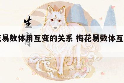 梅花易数体用互变的关系 梅花易数体互和用互