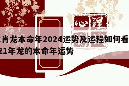 生肖龙本命年2024运势及运程如何看 2021年龙的本命年运势