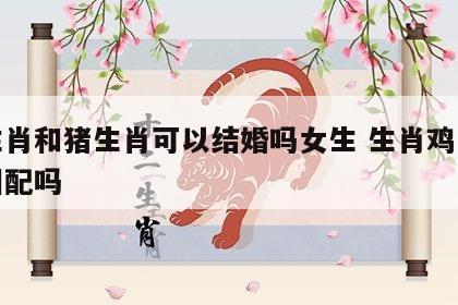 鸡生肖和猪生肖可以结婚吗女生 生肖鸡女和猪相配吗