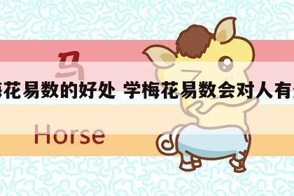 学梅花易数的好处 学梅花易数会对人有影响吗