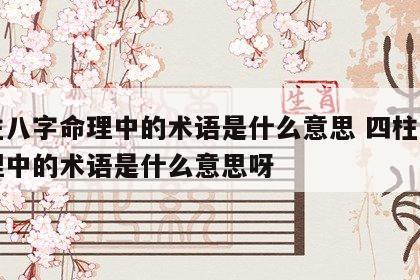 四柱八字命理中的术语是什么意思 四柱八字命理中的术语是什么意思呀