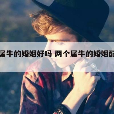 两个属牛的婚姻好吗 两个属牛的婚姻配对最佳