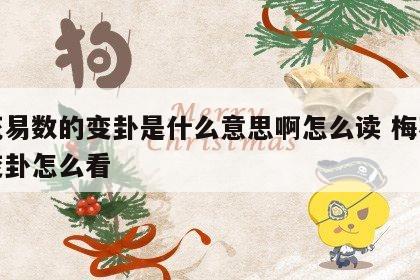 梅花易数的变卦是什么意思啊怎么读 梅花易数变卦怎么看