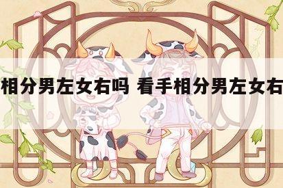 看手相分男左女右吗 看手相分男左女右吗正统