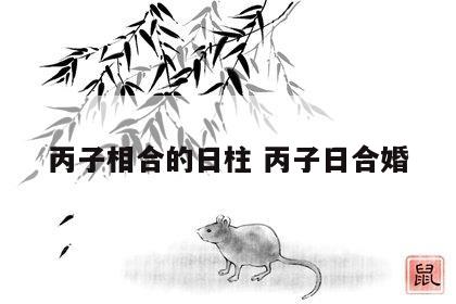 丙子相合的日柱 丙子日合婚