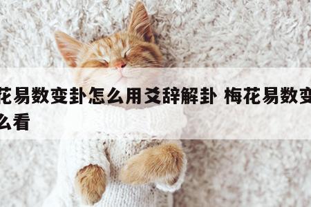 梅花易数变卦怎么用爻辞解卦 梅花易数变卦怎么看