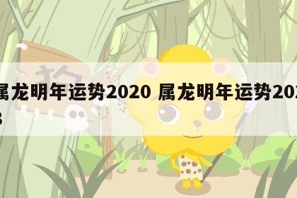 属龙明年运势2020 属龙明年运势2028