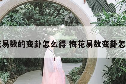 梅花易数的变卦怎么得 梅花易数变卦怎么用