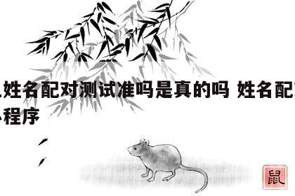 网上姓名配对测试准吗是真的吗 姓名配对测试小程序