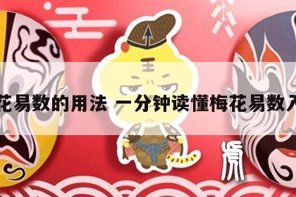 梅花易数的用法 一分钟读懂梅花易数入门