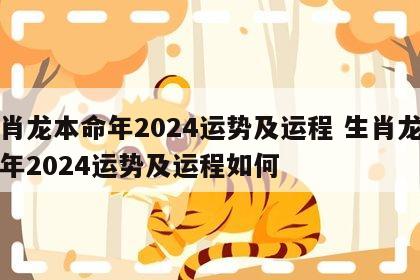 生肖龙本命年2024运势及运程 生肖龙本命年2024运势及运程如何