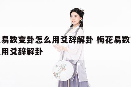 梅花易数变卦怎么用爻辞解卦 梅花易数变卦怎么用爻辞解卦