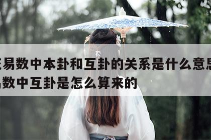 梅花易数中本卦和互卦的关系是什么意思 梅花易数中互卦是怎么算来的