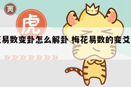 梅花易数变卦怎么解卦 梅花易数的变爻怎样解