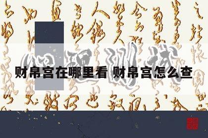 财帛宫在哪里看 财帛宫怎么查
