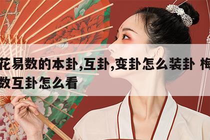 梅花易数的本卦,互卦,变卦怎么装卦 梅花易数互卦怎么看