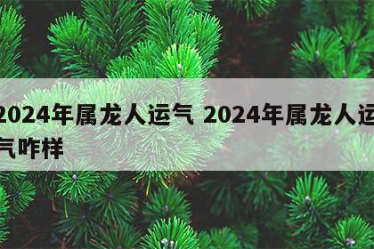2024年属龙人运气 2024年属龙人运气咋样