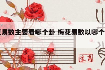 梅花易数主要看哪个卦 梅花易数以哪个卦为主