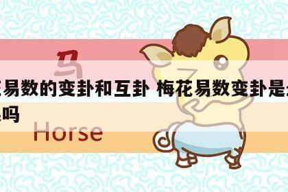 梅花易数的变卦和互卦 梅花易数变卦是最终结果吗