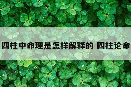 四柱中命理是怎样解释的 四柱论命