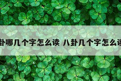 八卦哪几个字怎么读 八卦几个字怎么读音
