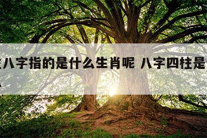 四柱八字指的是什么生肖呢 八字四柱是什么意思