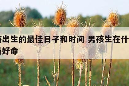 男孩出生的最佳日子和时间 男孩生在什么日子最好命