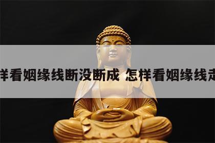 怎样看姻缘线断没断成 怎样看姻缘线走势