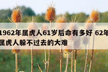 1962年属虎人61岁后命有多好 62年属虎人躲不过去的大难