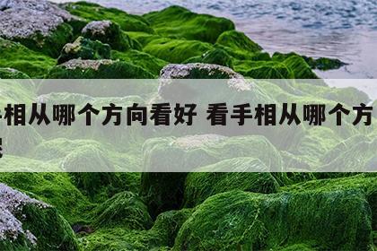 看手相从哪个方向看好 看手相从哪个方向看好呢
