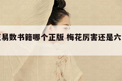 梅花易数书籍哪个正版 梅花厉害还是六爻厉害