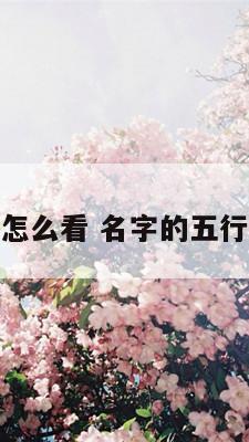 名字的五行怎么看 名字的五行怎么看好坏