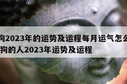 属狗2023年的运势及运程每月运气怎么样 属狗的人2023年运势及运程