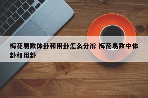 梅花易数体卦和用卦怎么分辨 梅花易数中体卦和用卦