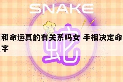手相和命运真的有关系吗女 手相决定命运还是八字